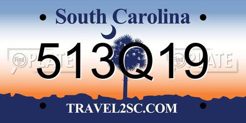 513Q19 South Carolina License Plate