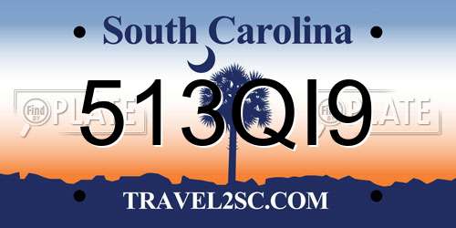 513QI9 South Carolina License Plate