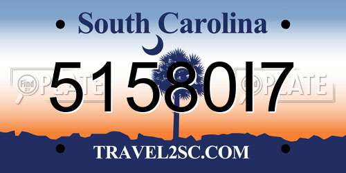 51580I7 South Carolina License Plate