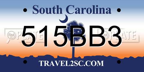 515BB3 South Carolina License Plate