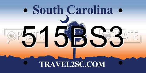 515BS3 South Carolina License Plate