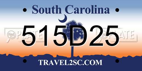 515D25 South Carolina License Plate