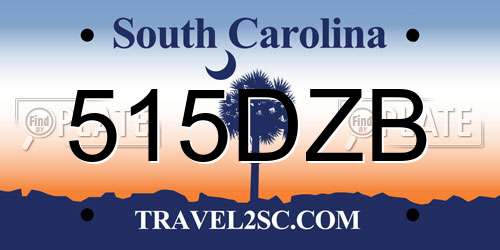 515DZB South Carolina License Plate