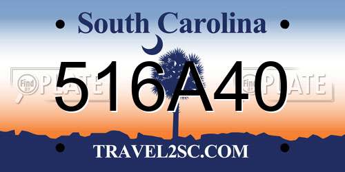 516A40 South Carolina License Plate