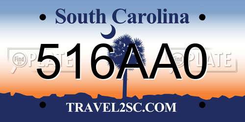 516AA0 South Carolina License Plate