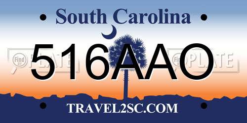 516AAO South Carolina License Plate