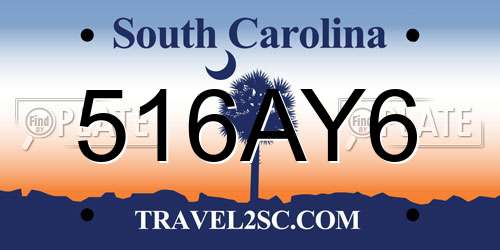 516AY6 South Carolina License Plate