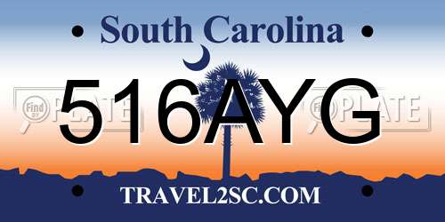516AYG South Carolina License Plate