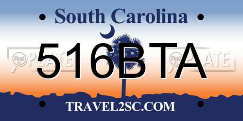 516BTA South Carolina License Plate