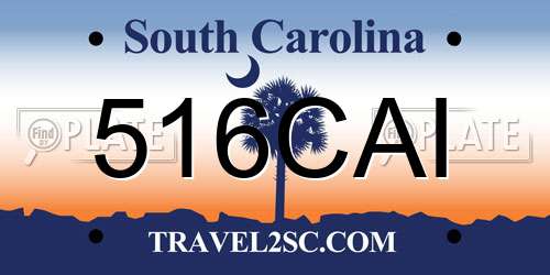 516CAI South Carolina License Plate