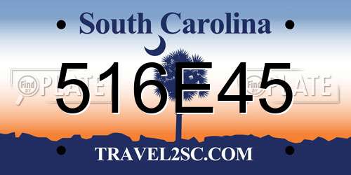 516E45 South Carolina License Plate