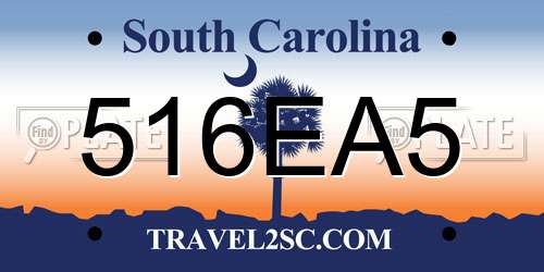 516EA5 South Carolina License Plate