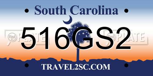 516GS2 South Carolina License Plate