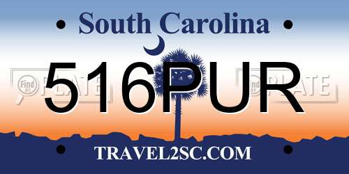 516PUR South Carolina License Plate