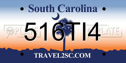 516TI4 South Carolina License Plate