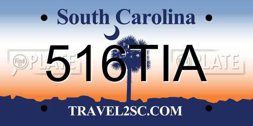516TIA South Carolina License Plate