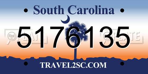 5176135 South Carolina License Plate