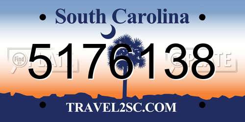 5176138 South Carolina License Plate