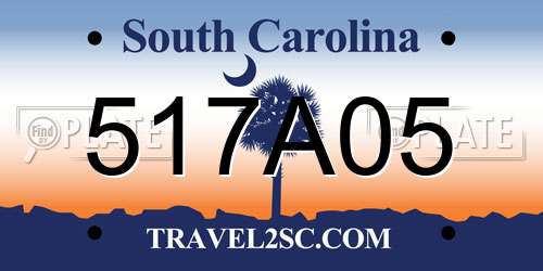 517A05 South Carolina License Plate