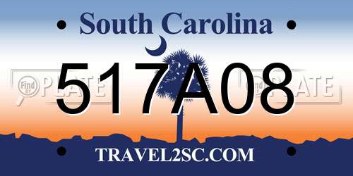 517A08 South Carolina License Plate
