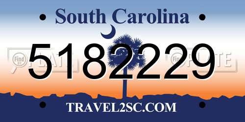 5182229 South Carolina License Plate