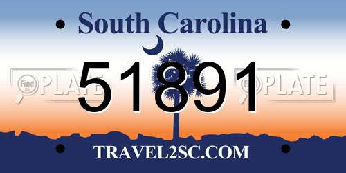 51891 South Carolina License Plate