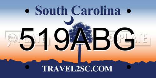 519ABG South Carolina License Plate