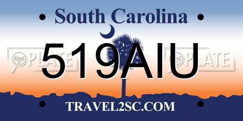 519AIU South Carolina License Plate