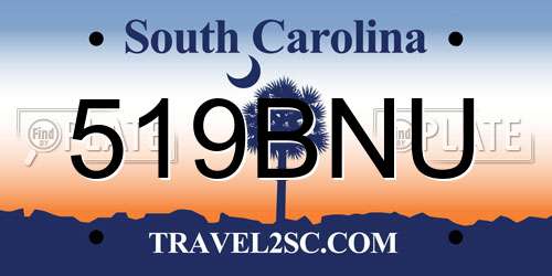 519BNU South Carolina License Plate