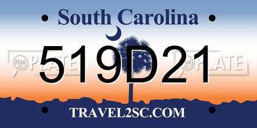 519D21 South Carolina License Plate