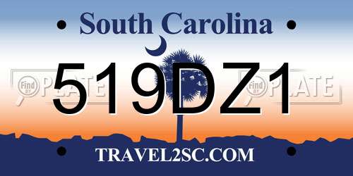 519DZ1 South Carolina License Plate