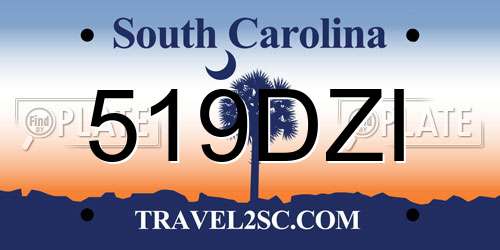 519DZI South Carolina License Plate