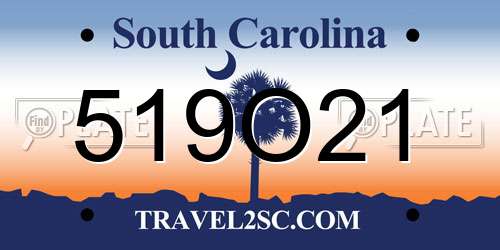 519O21 South Carolina License Plate