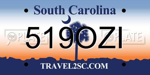 519OZI South Carolina License Plate