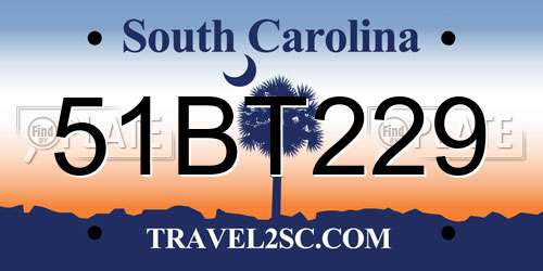 51BT229 South Carolina License Plate