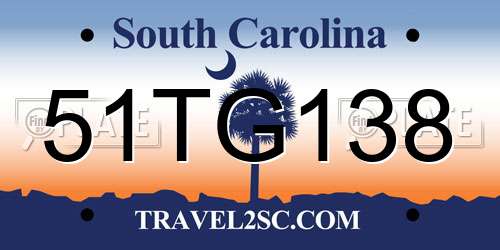 51TG138 South Carolina License Plate