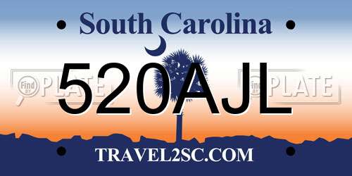 520AJL South Carolina License Plate