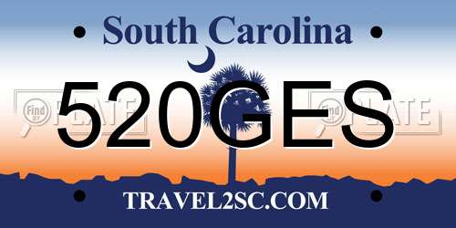 520GES South Carolina License Plate