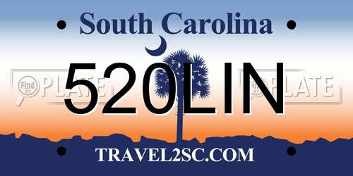 520LIN South Carolina License Plate