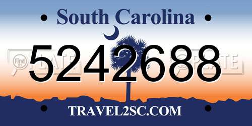 5242688 South Carolina License Plate
