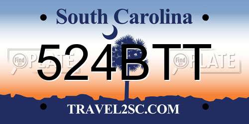524BTT South Carolina License Plate
