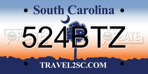524BTZ South Carolina License Plate