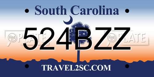 524BZZ South Carolina License Plate