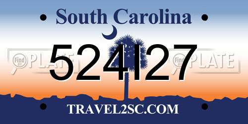 524I27 South Carolina License Plate