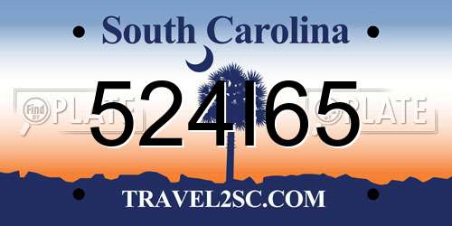524I65 South Carolina License Plate