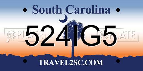 524IG5 South Carolina License Plate