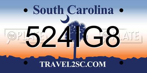 524IG8 South Carolina License Plate
