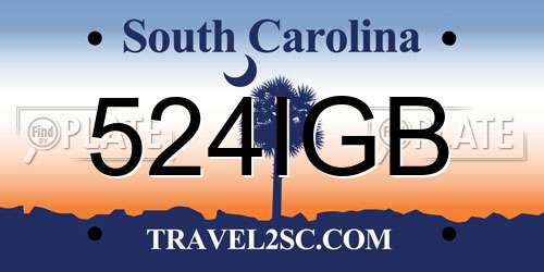 524IGB South Carolina License Plate