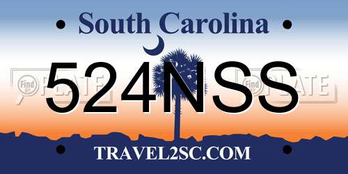 524NSS South Carolina License Plate