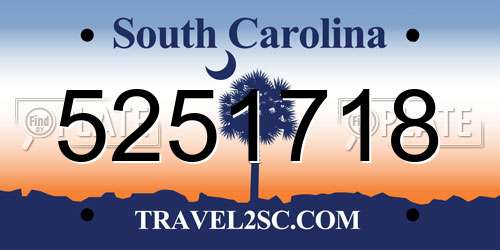 5251718 South Carolina License Plate